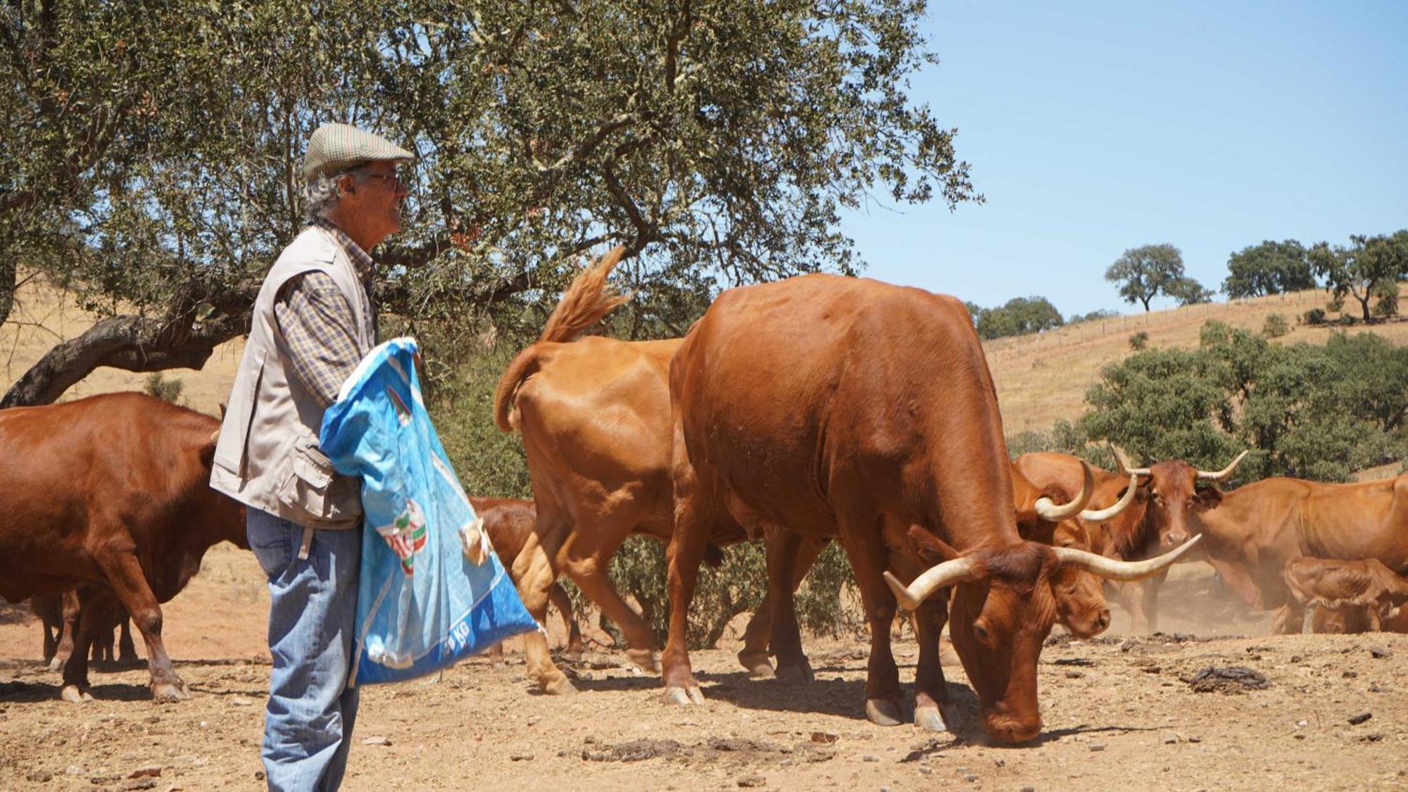 Cerca Agroturismo Xistos מראה חיצוני תמונה