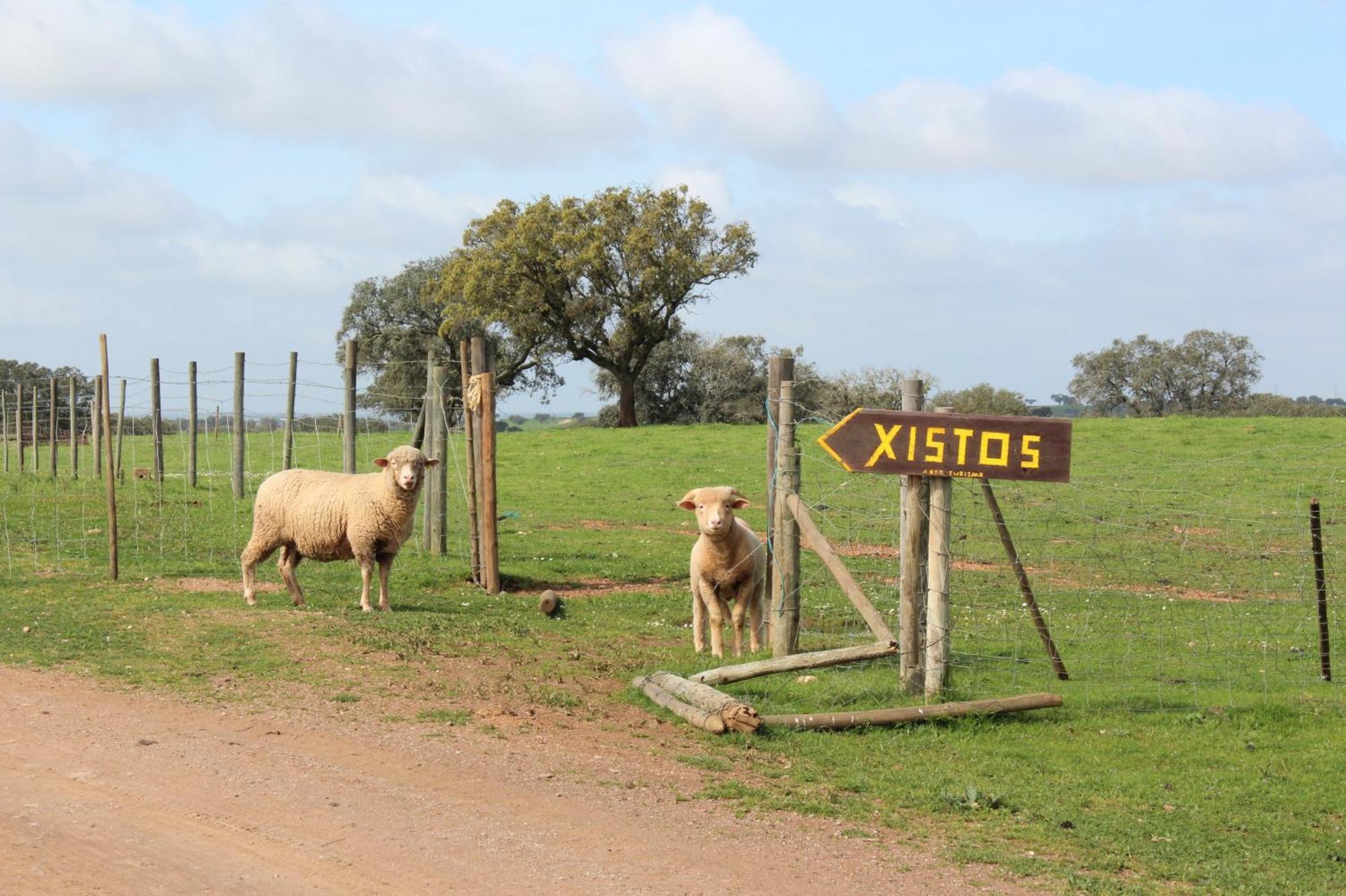 Cerca Agroturismo Xistos מראה חיצוני תמונה